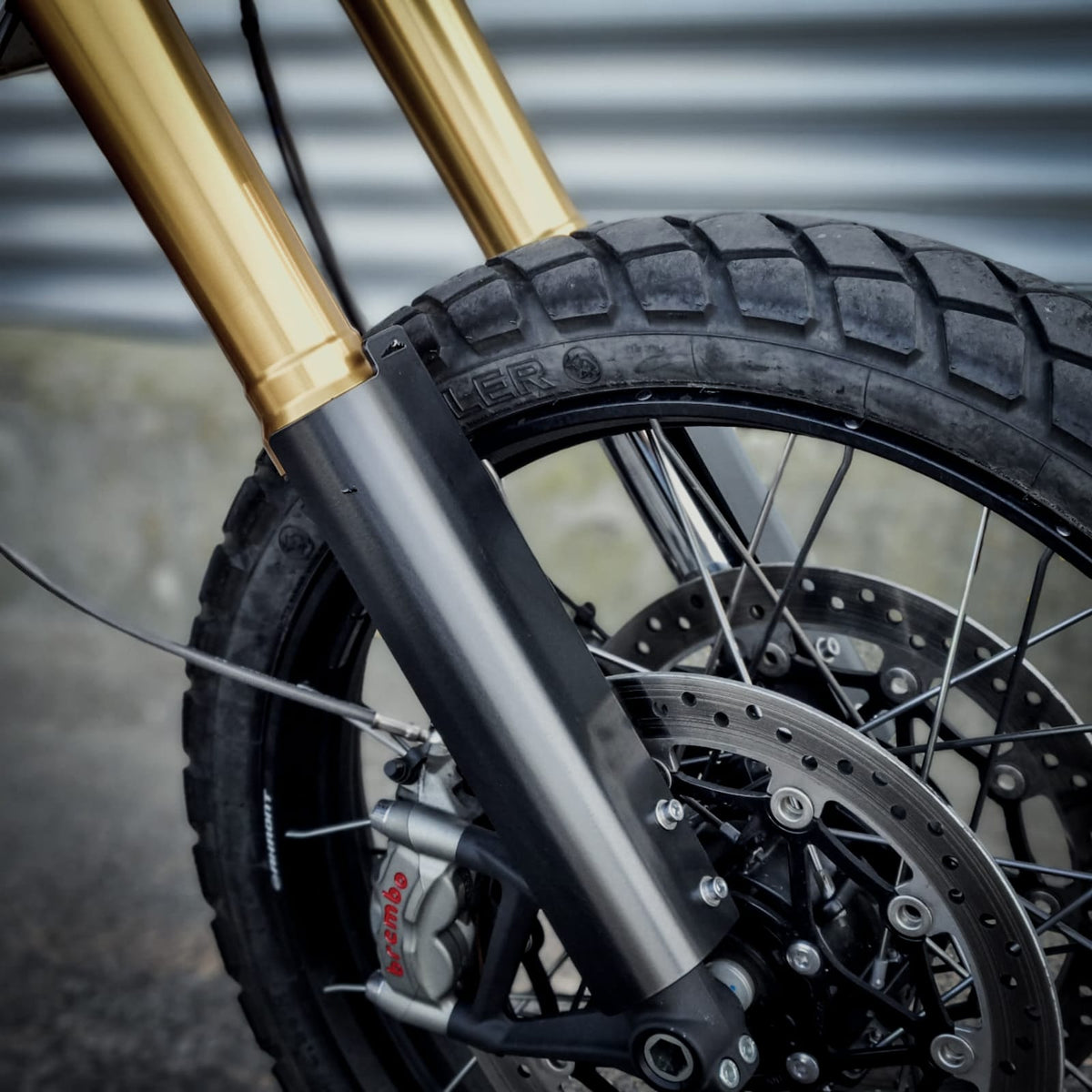 Kit Triumph 1200 Scrambler XC/XE | Blackpines - blackpines.fr