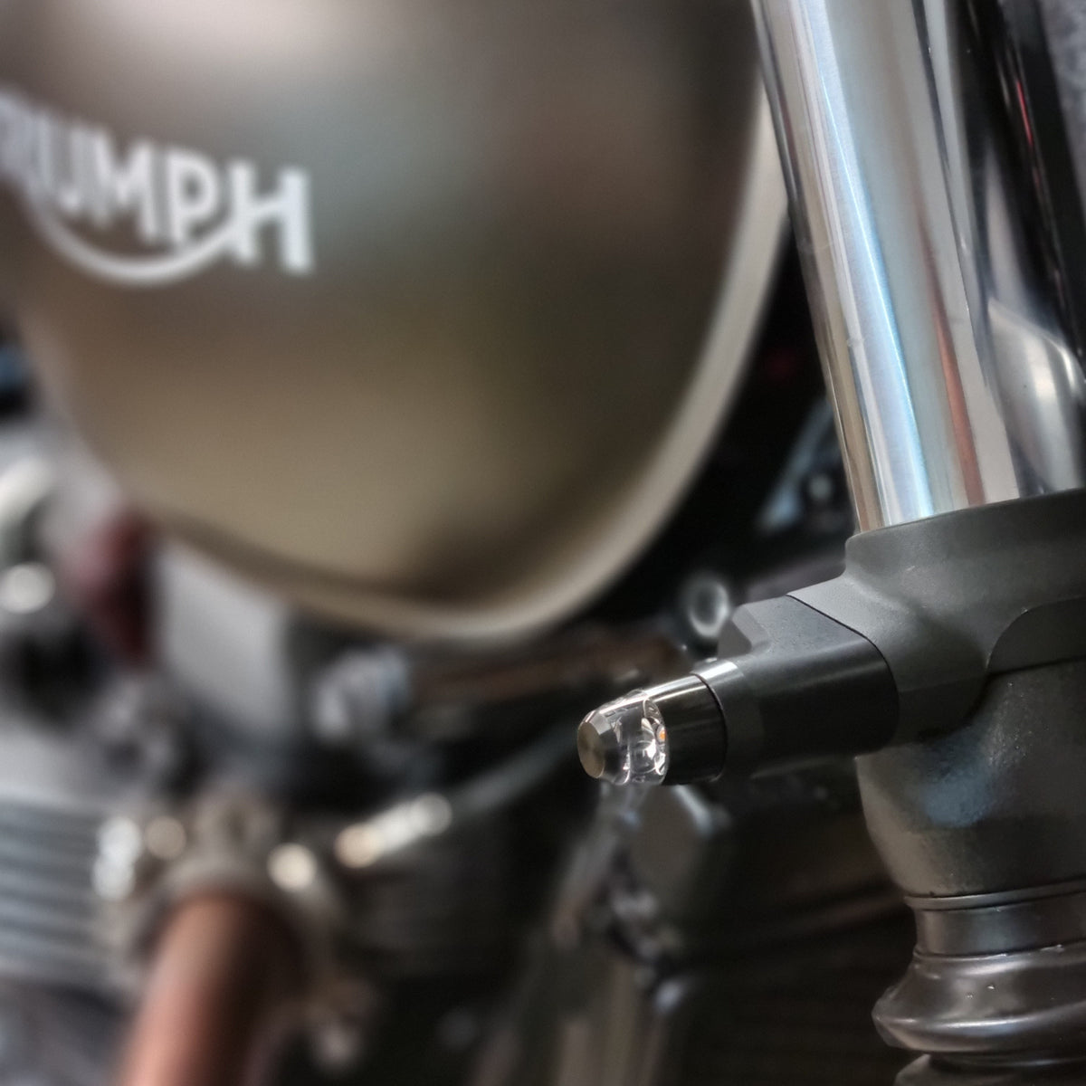 Adaptateur Clignotants Mo.Blaze Triumph | Motogadget  blackpines.fr adaptateur clignotant Triumph blackpines.fr