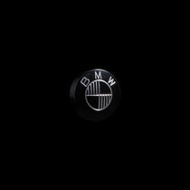 Insert d ecrou de colonne de direction pour BMW par Ex-Motorcycle. Blackpines.fr